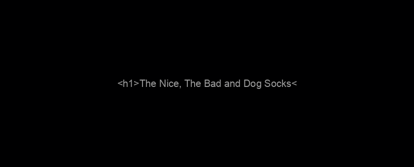 <h1>The Nice, The Bad and Dog Socks</h1>
